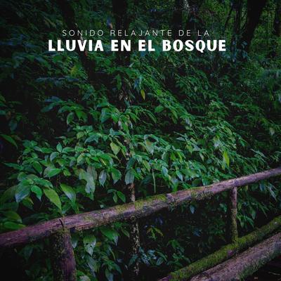 Sonido Relajante de la Lluvia en el Bosque, Pt. 21's cover