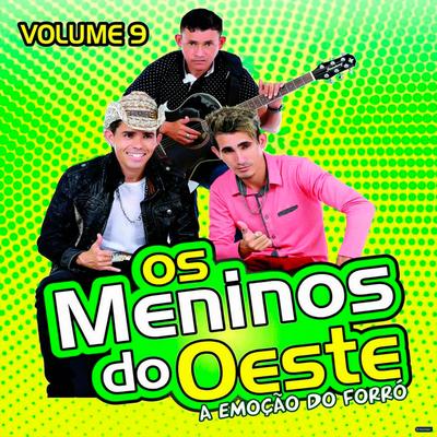 A Emoção do Forró Vol. 9's cover
