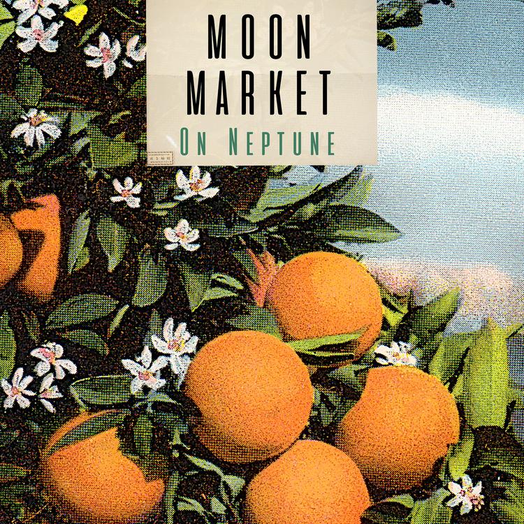 Moon Market's avatar image