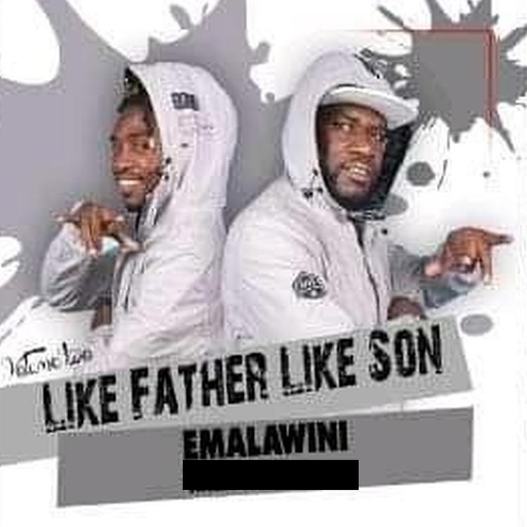 Like Father Like Son's avatar image