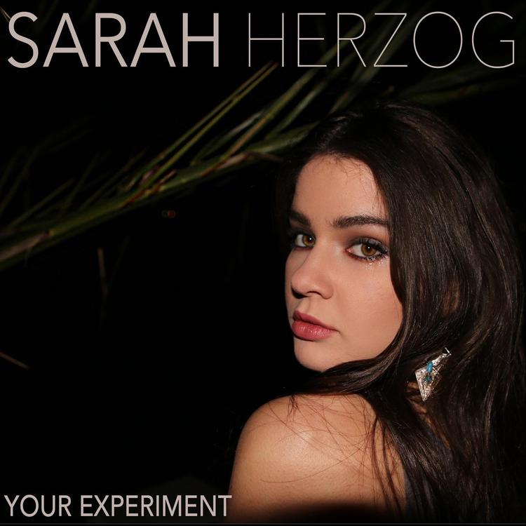 Sarah Herzog's avatar image