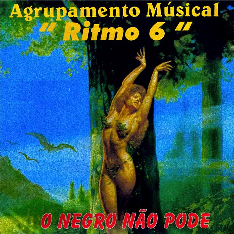 Agrupamento Musical Ritmo 6's avatar image