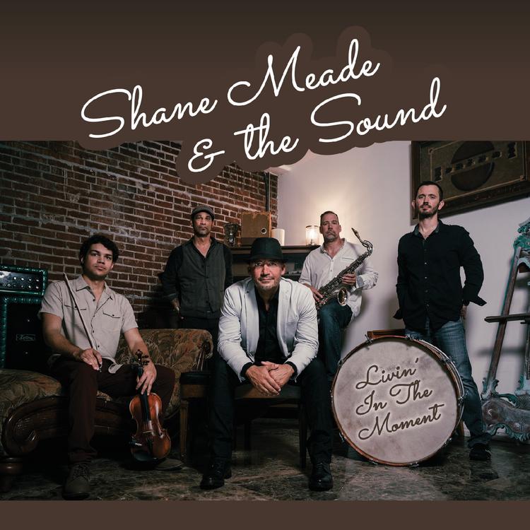 Shane Meade & the Sound's avatar image