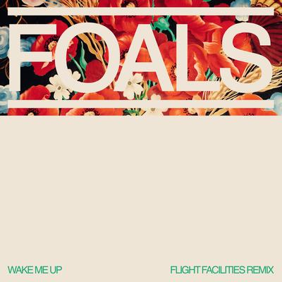 Wake Me Up (Flight Facilities Remix)'s cover