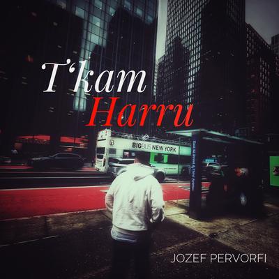 T'kam Harru By Jozef Pervorfi's cover