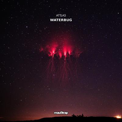 Waterbug By ATTLAS's cover