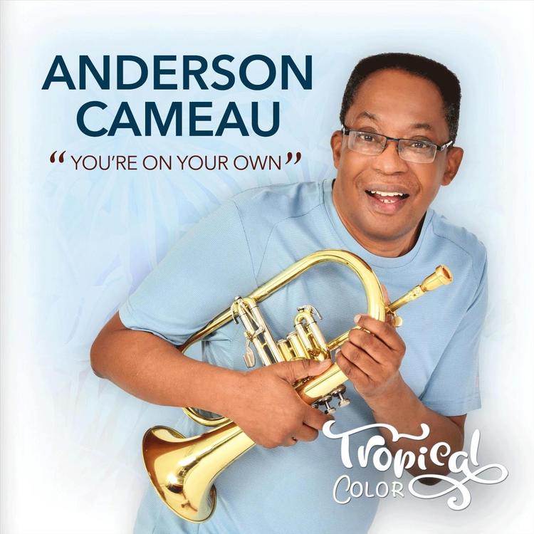 Anderson Cameau's avatar image