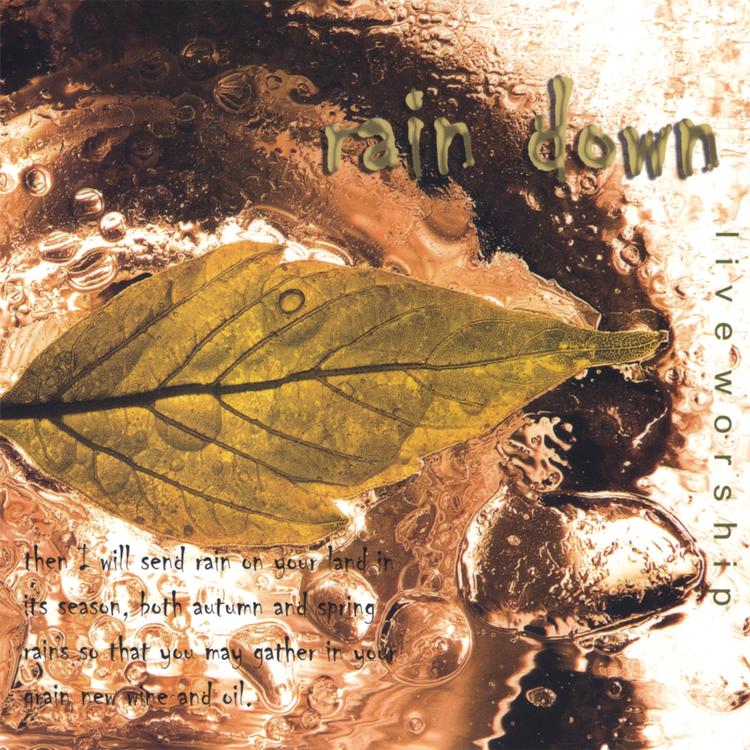 Rain Down's avatar image