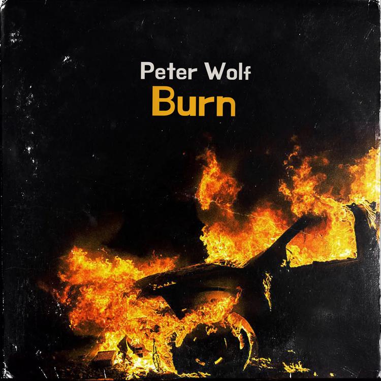 Peter Wolf's avatar image