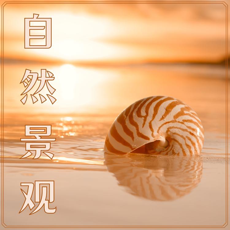森林旋律's avatar image