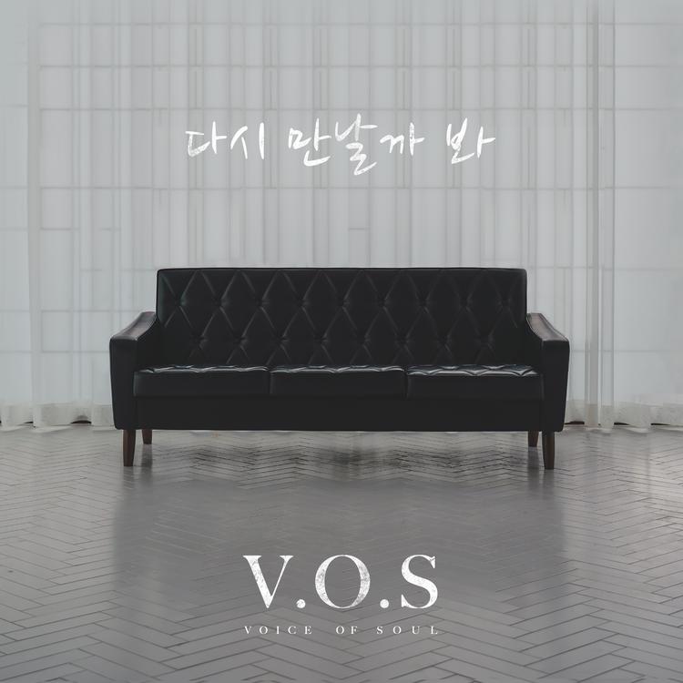 V.O.S's avatar image