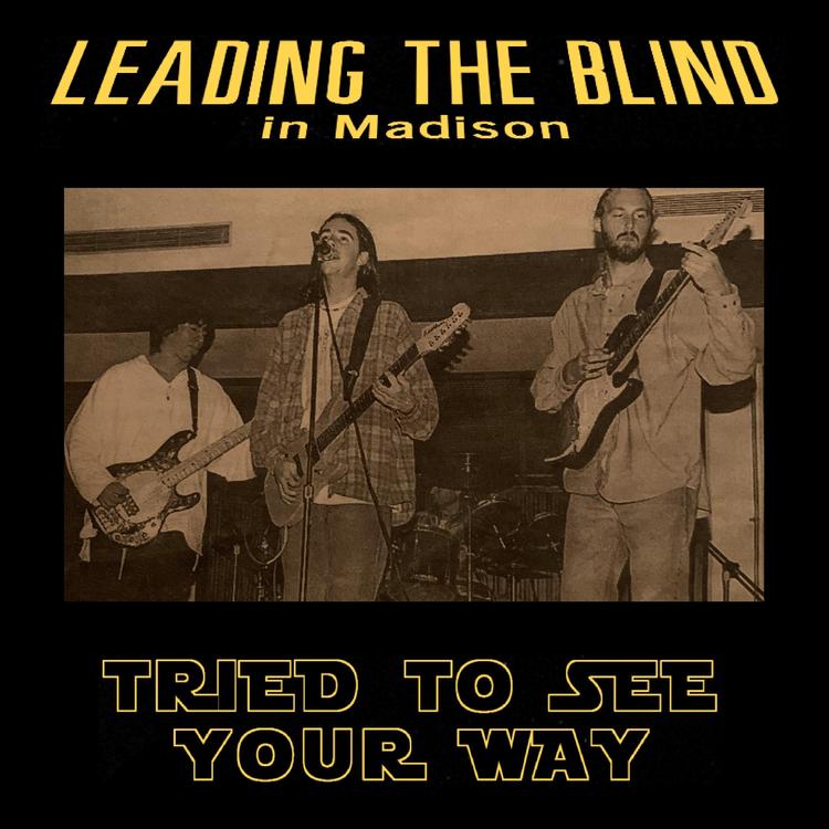 Leading the Blind in Madison's avatar image