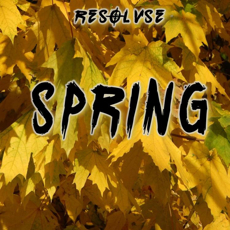 Resolvse's avatar image