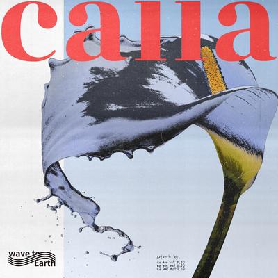 calla's cover