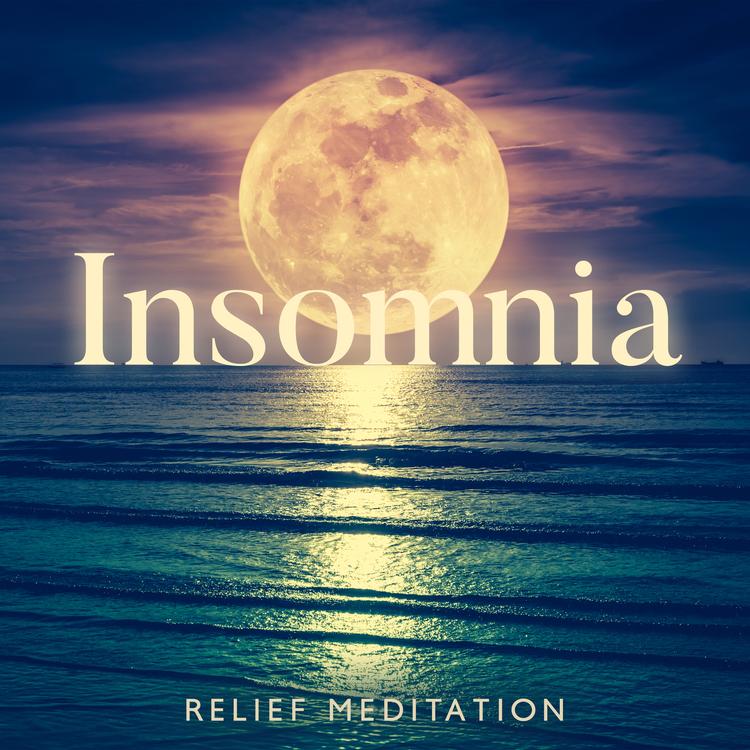 Insomnia Meditation Zone's avatar image