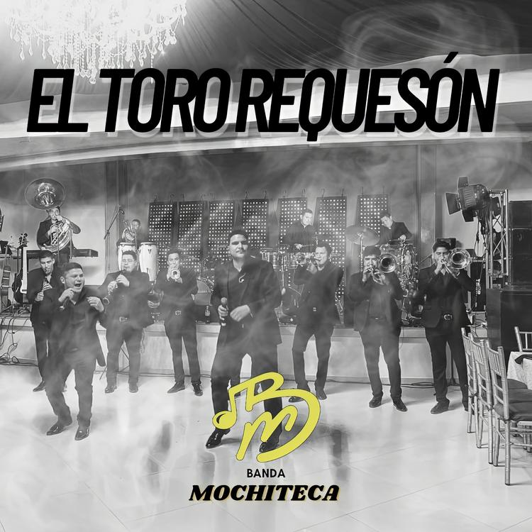 Banda Mochiteca's avatar image