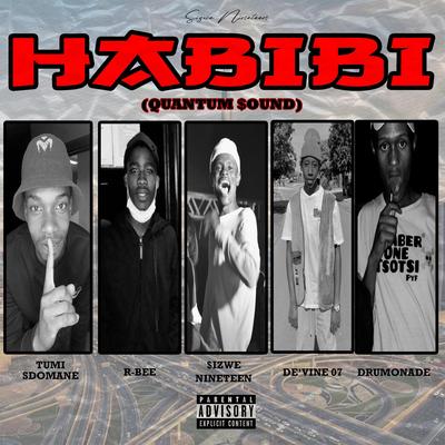 Habibi (Quantum Sound)'s cover