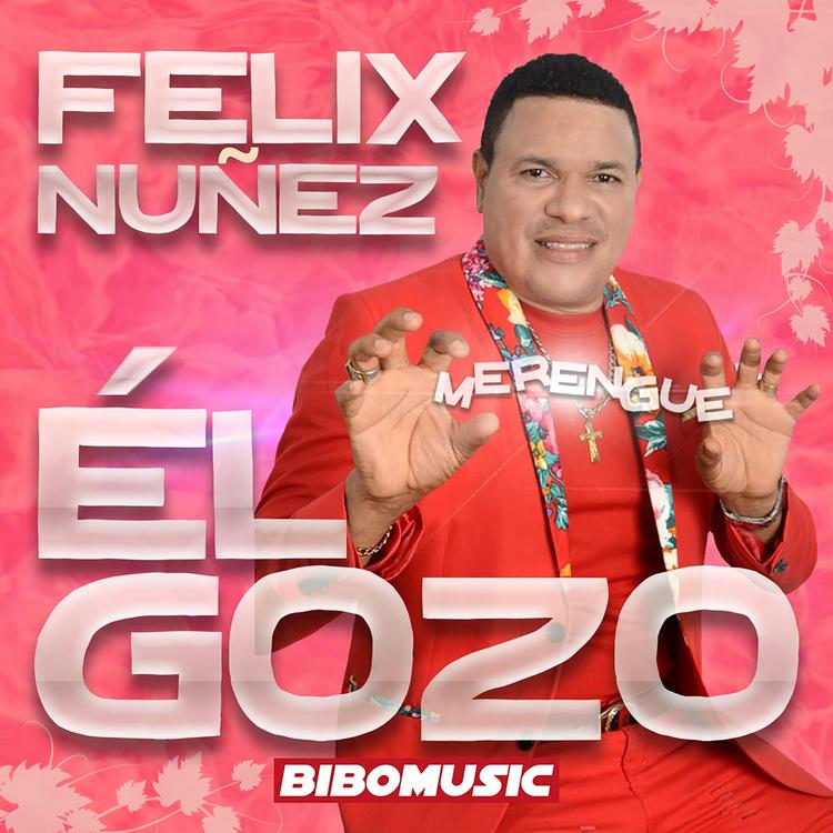 Felix Nunez's avatar image