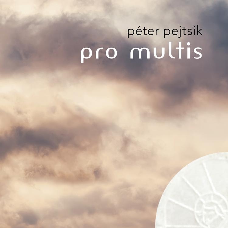 Péter Pejtsik's avatar image