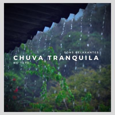 Sons Relaxantes: Chuva Tranquila no Teto, Pt. 05 By Música Com Sons Da Natureza De IMG Library's cover