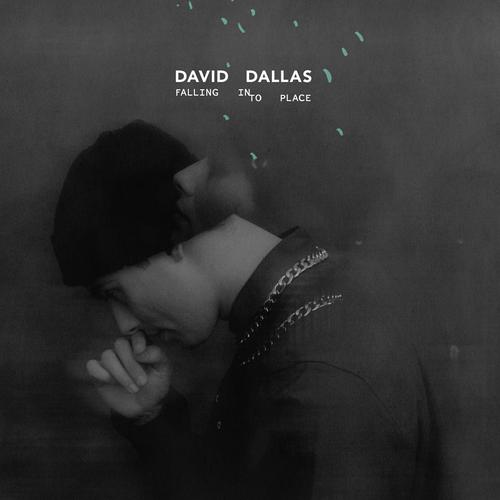 #daviddallas's cover