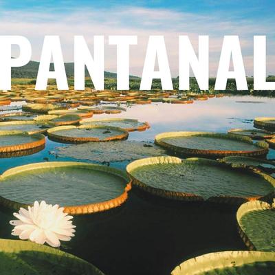 Pantanal (feat. Gabriel Sater)'s cover