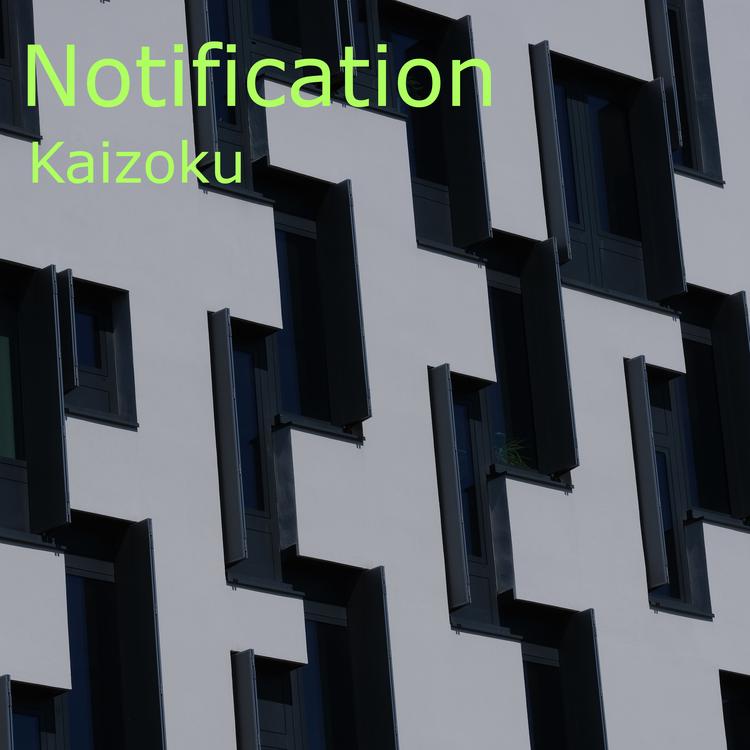 KAIZOKU's avatar image