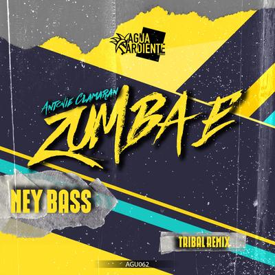 Zumba E (Tribal Remix) By Ney Bass's cover