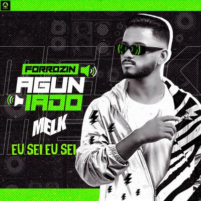 Forrozin Aguniado, Eu Sei Eu Sei By djmelk, Alysson CDs Oficial's cover