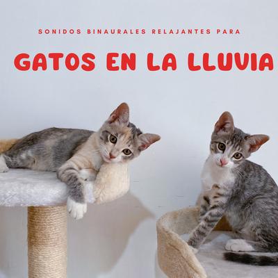 Sonidos Binaurales Relajantes Para Gatos En La Lluvia's cover