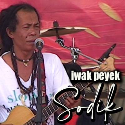 Iwak Peyek's cover