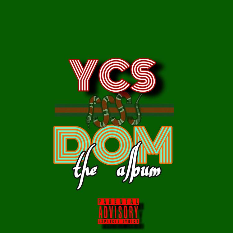 YCS Dom's avatar image