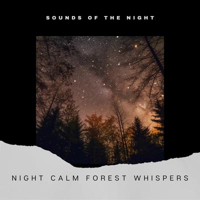 Don’t Be Afraid By Sounds of the Night's cover