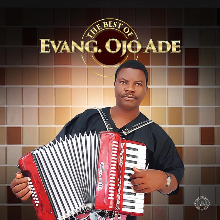 Evang Ojo Ade's avatar image