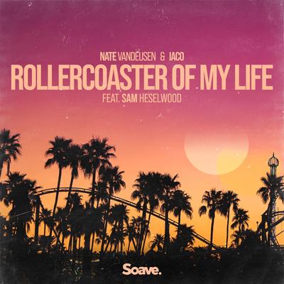 Rollercoaster Of My Life (feat. Sam Heselwood)'s cover