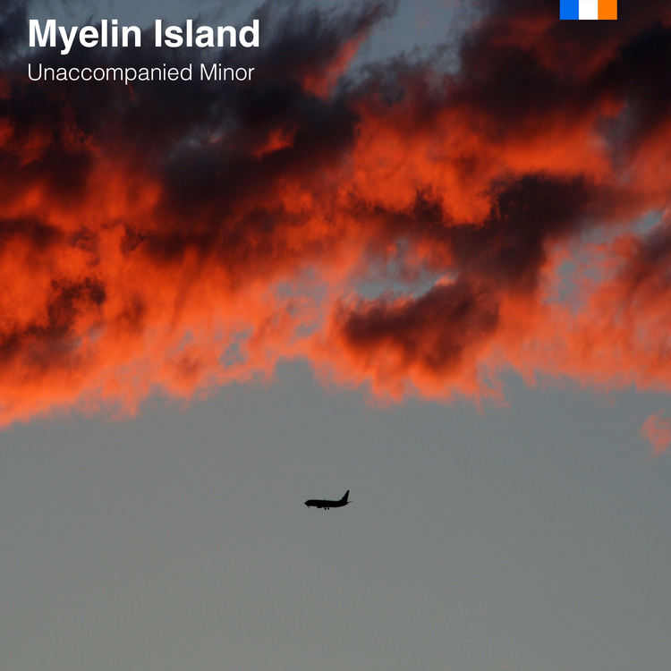 Myelin Island's avatar image