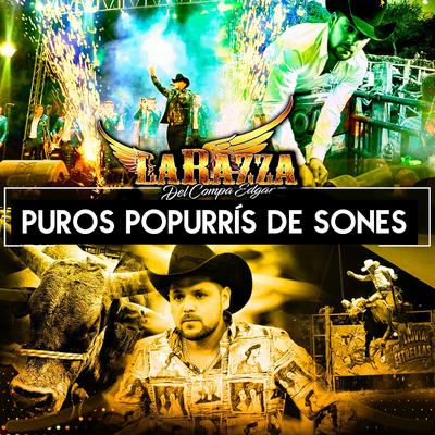 Popurri Michoacano ... El Son Del Pálomino / El Son Del Gallito / El Zapatazo / Cara De Pingo By LA RAZZA DEL COMPA EDGAR's cover