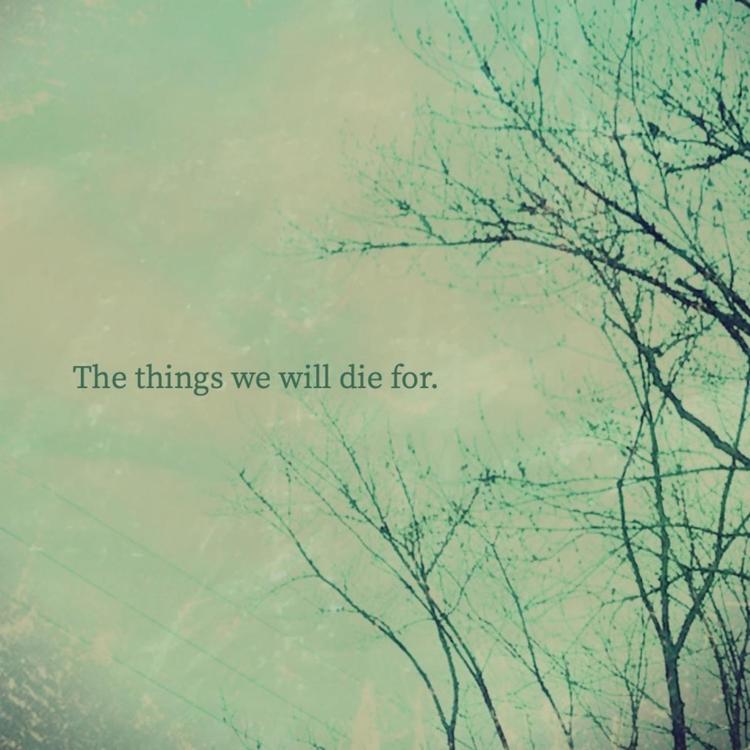 The Things We Will Die For's avatar image