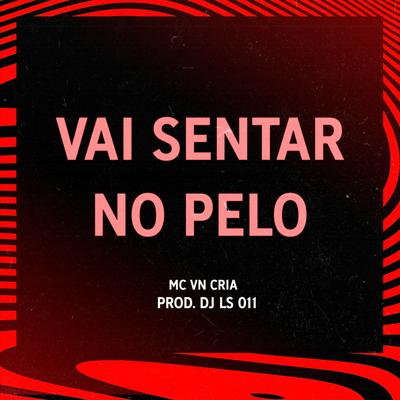 VAI SENTAR NO PELO By DJ LS 011's cover