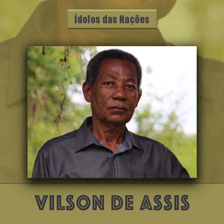Vilson De Assis's avatar image