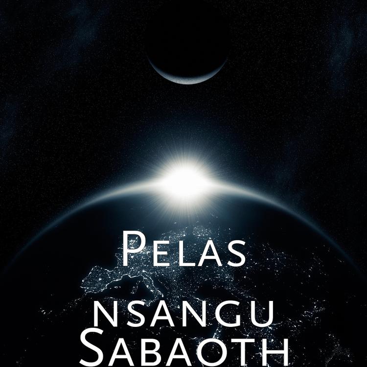 Pelas nsangu's avatar image