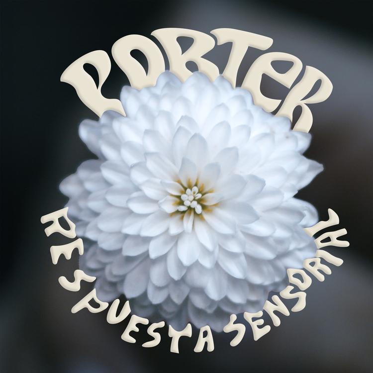 Porter's avatar image