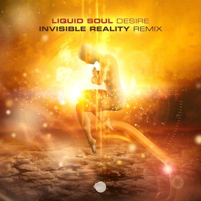 Desire By Liquid Soul, Invisible Reality's cover