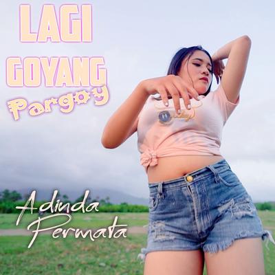 Lagi Goyang (Pargoy)'s cover