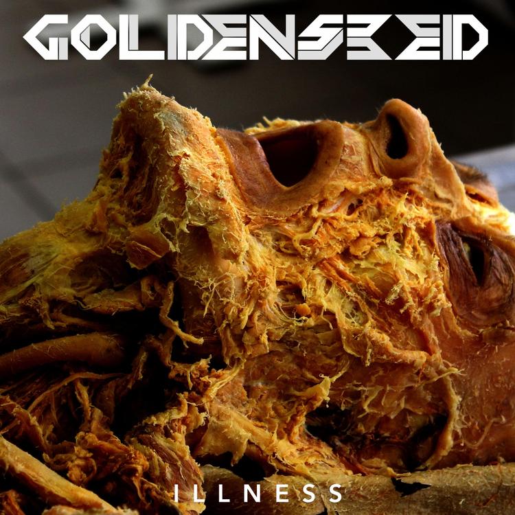 Goldenseed's avatar image