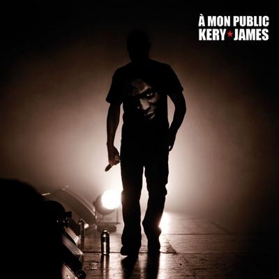 À mon public (Live au Zénith de Paris le 18 décembre 2009)'s cover