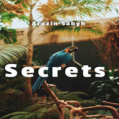 Secrets By Arozin Sabyh's cover