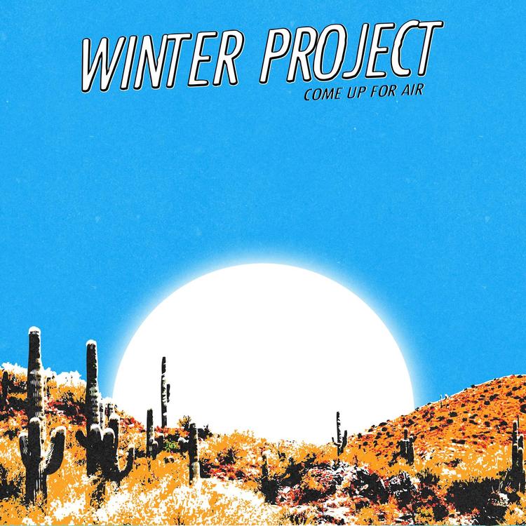 Winter Project's avatar image