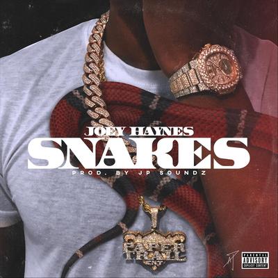 Snakes By Joey Haynes's cover