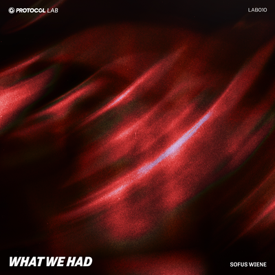 What We Had By Sofus Wiene, Protocol Lab's cover